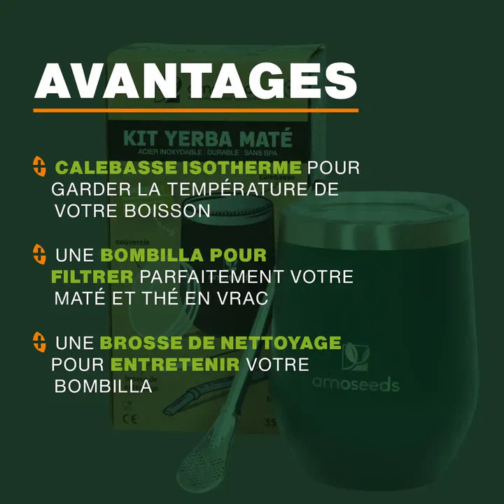 Kit Maté Complet : Calebasse, Bombilla et Brosse