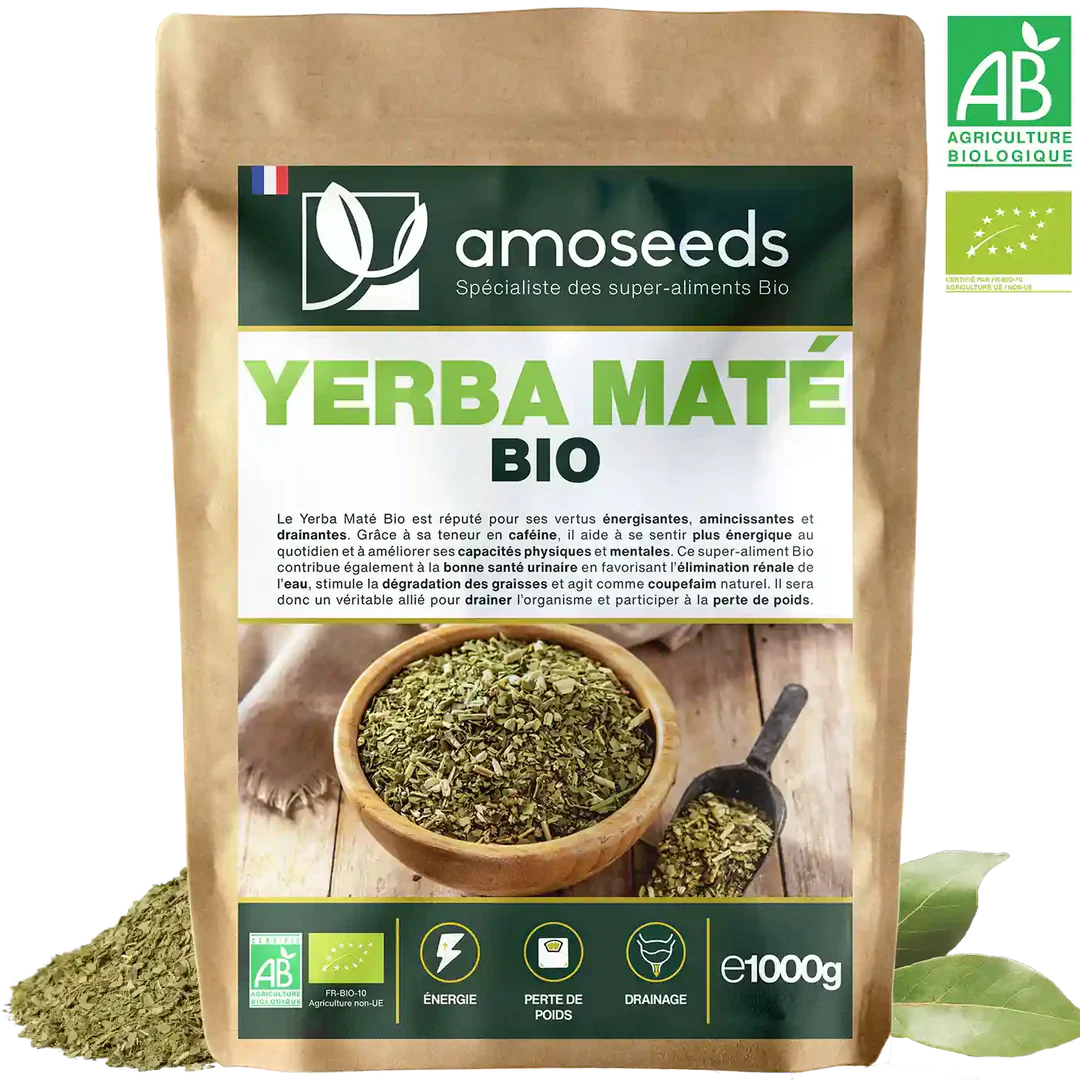 Kit Maté Complet : Calebasse, Bombilla et Brosse