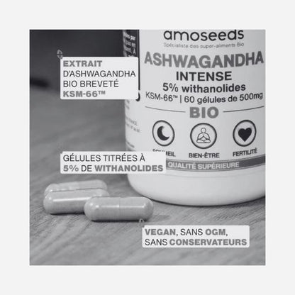 Gélules Ashwagandha Withania KSM-66™ Bio 🌿